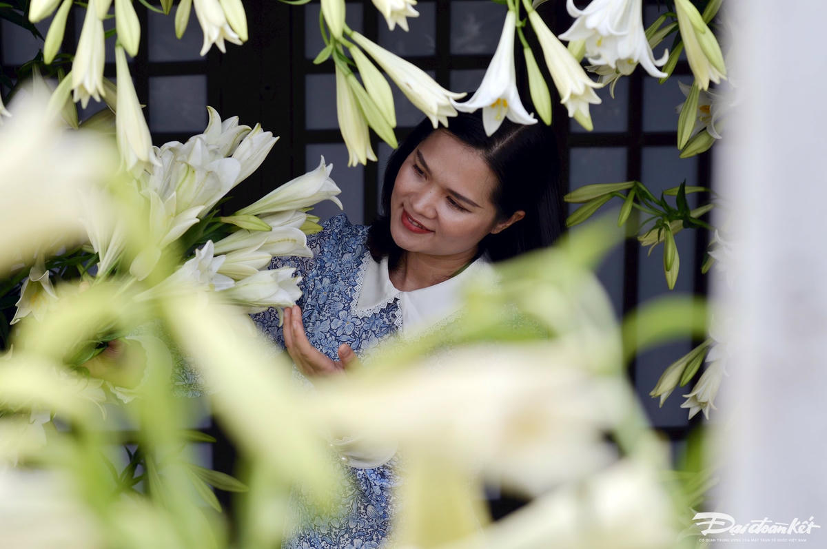 hoa_loa_ken-le-khanh28.jpg