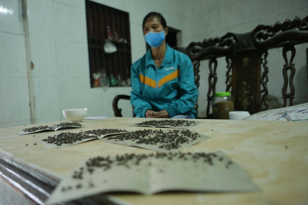 Chỉ 1 lúc buổi sáng, những vỉ ruồi người dân để đen kịt. Ảnh Ngô Hùng