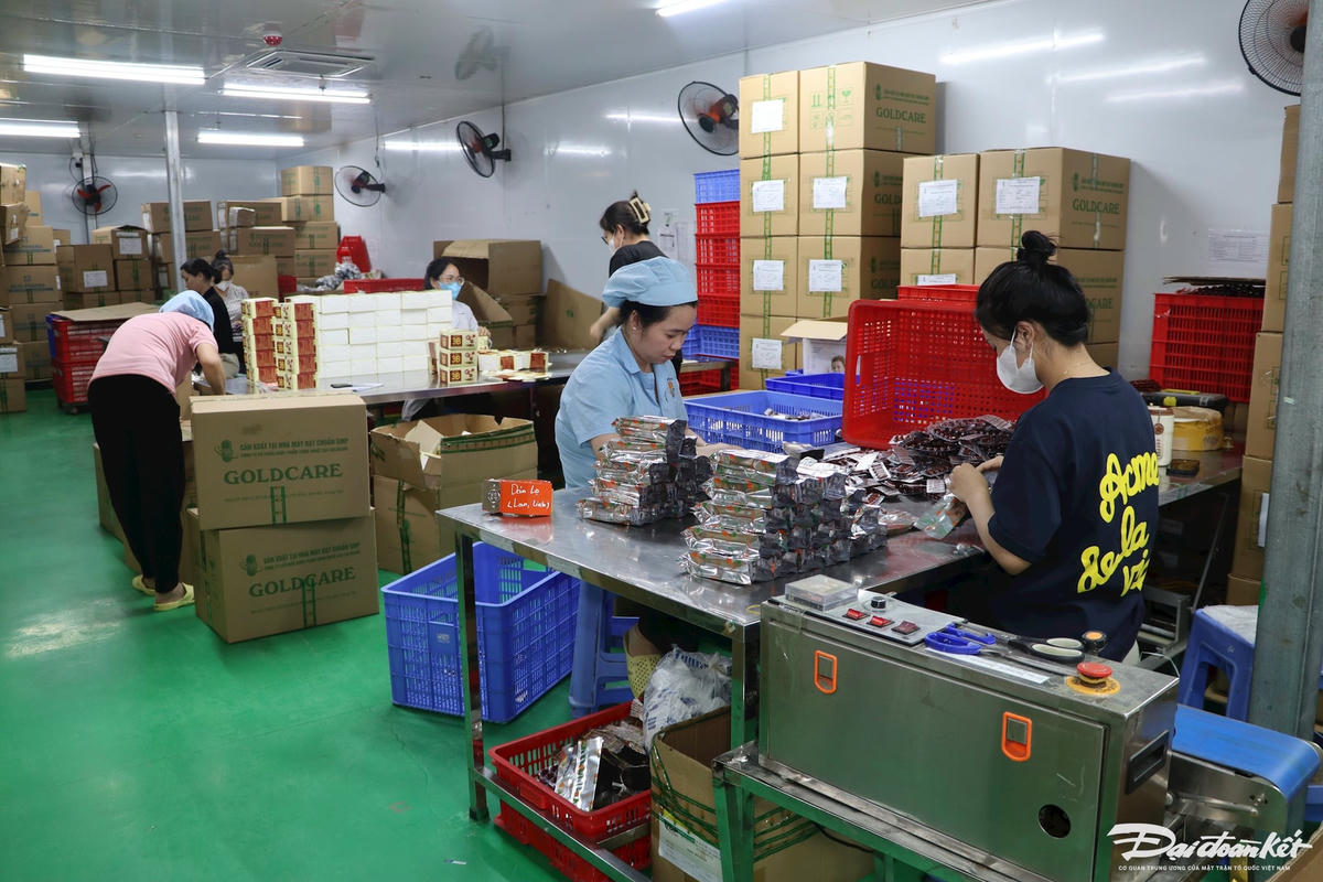 Khu vực đóng gói sản phẩm của Công ty Gold Care,