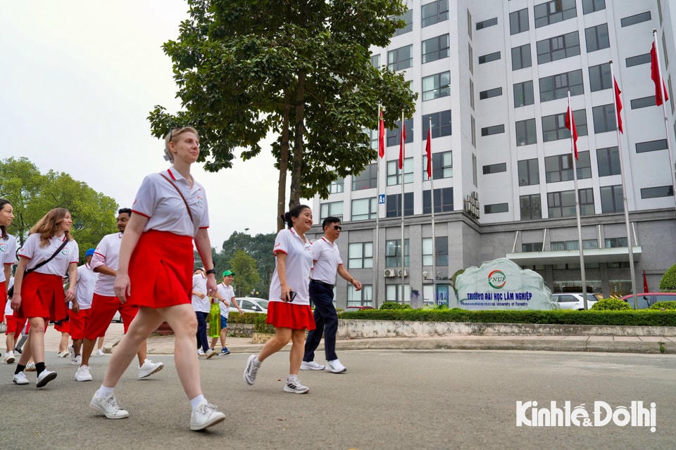 Hành động nhỏ, thông điệp lớn với chủ đề “Đi bộ vì con người và hành tinh