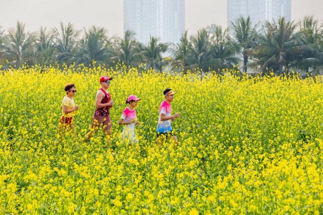 Ngồi nơi cửa nhà, nghĩ về hạnh phúc ảnh 7