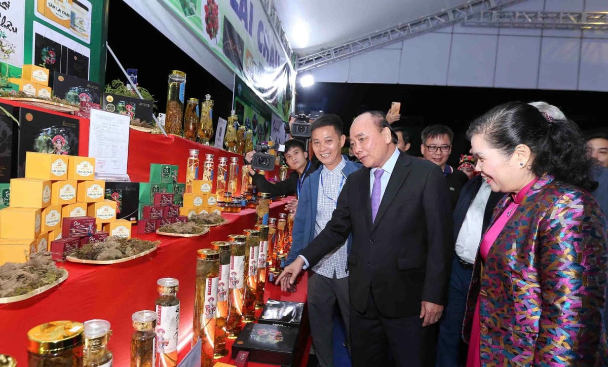 Chủ tịch nước Nguyễn Xuân Phúc cùng đồng chí Bí thư Tỉnh ủy Giàng Páo Mỷ và các đại biểu tham quan gian hàng sâm tại Hội chợ Sâm. Ảnh Báo Lai Châu