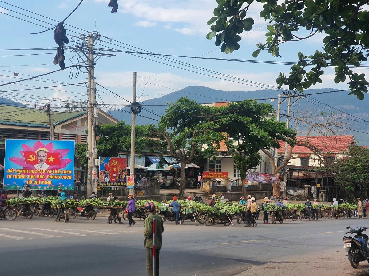 Đến nay, sản phẩm của chuối Hướng Hóa đưa ra thị trường chủ yếu dưới dạng quả tươi và giá thành bấp bênh theo từng giai đoạn.
