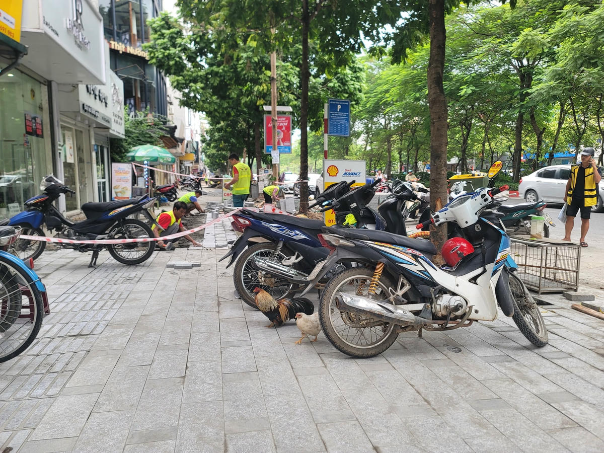 Đáng nói, một số vị trí vữa lát còn chưa khô, phương tiện đã đỗ trên đó.