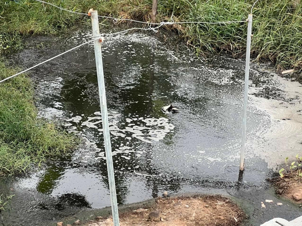 2.Ngoài việc xây dựng trái phép trên đất công điền còn xả thải gây ô nhiễm môi trường.