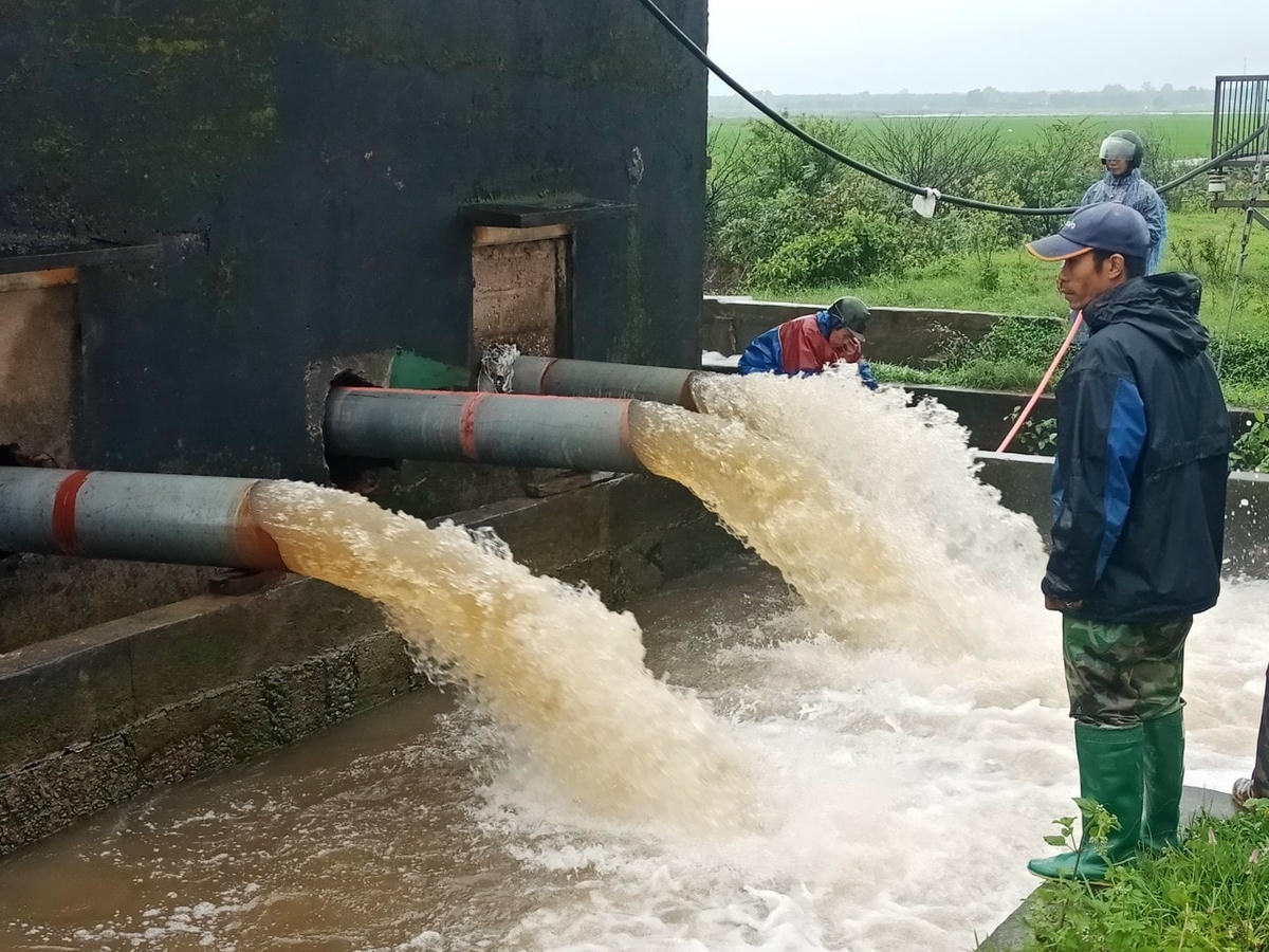 Các trạm bơm đang hoạt động hết công suất để tiêu úng cho lúa.