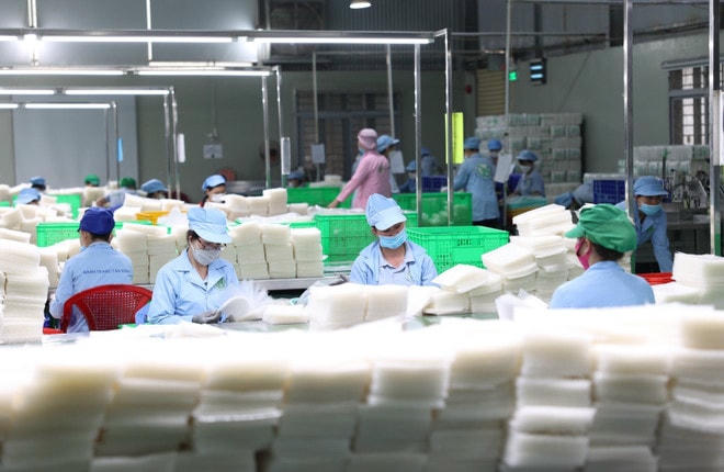 Thủ tướng yêu cầu tiếp tục gia hạn, giảm thuế để tháo gỡ khó khăn cho hoạt động sản xuất kinh doanh. (Ảnh: Thanh Tân/TTXVN) san-xuat-kinh-doanh-3.jpg