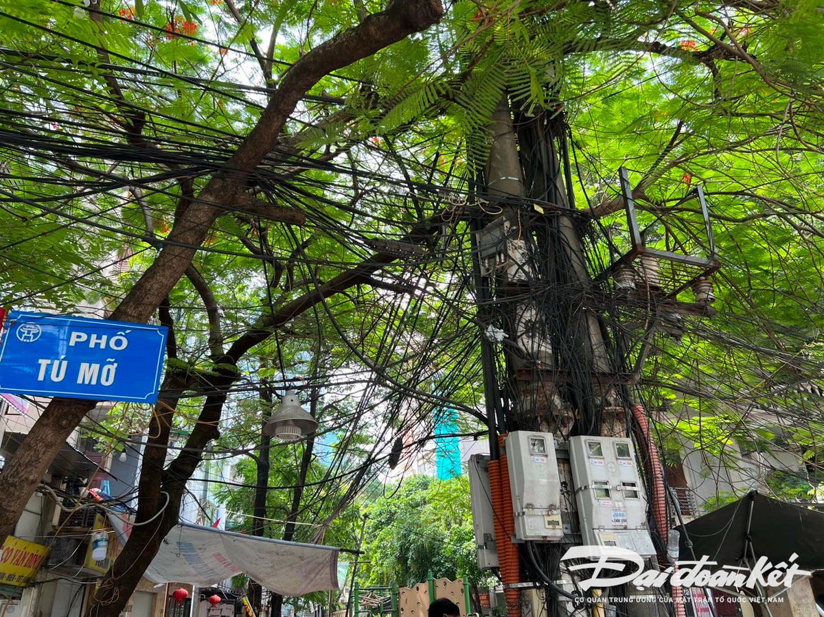 Dây điện chằng chịt, luồn lách trong vòm cây tiềm ẩn nguy cơ đứt, chập điện khi mưa to, gió lớn.