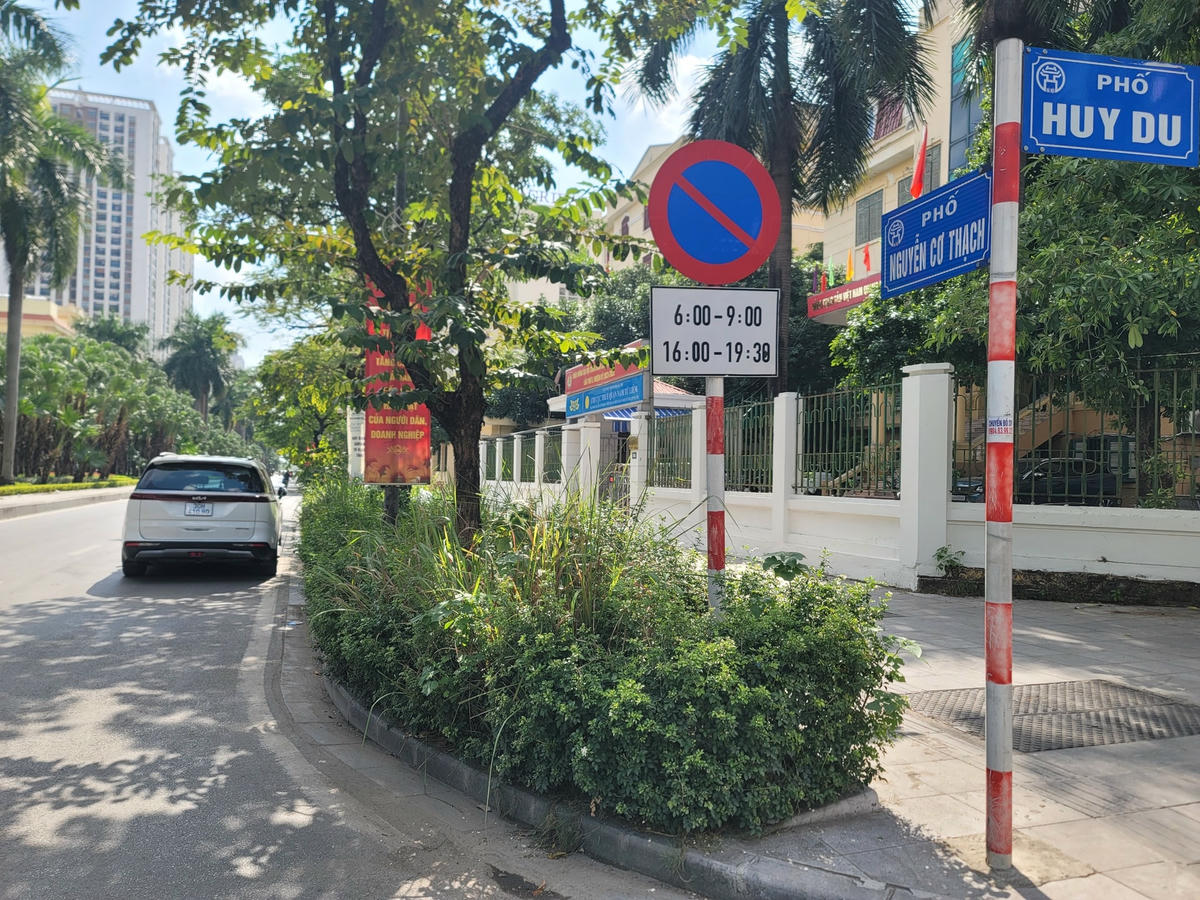 Không có bồn hoa nào thiếu vắng sự xuất hiện của cỏ dại. Thậm chí, số cỏ này lấn át luôn cả phần của cây xanh cảnh quan.