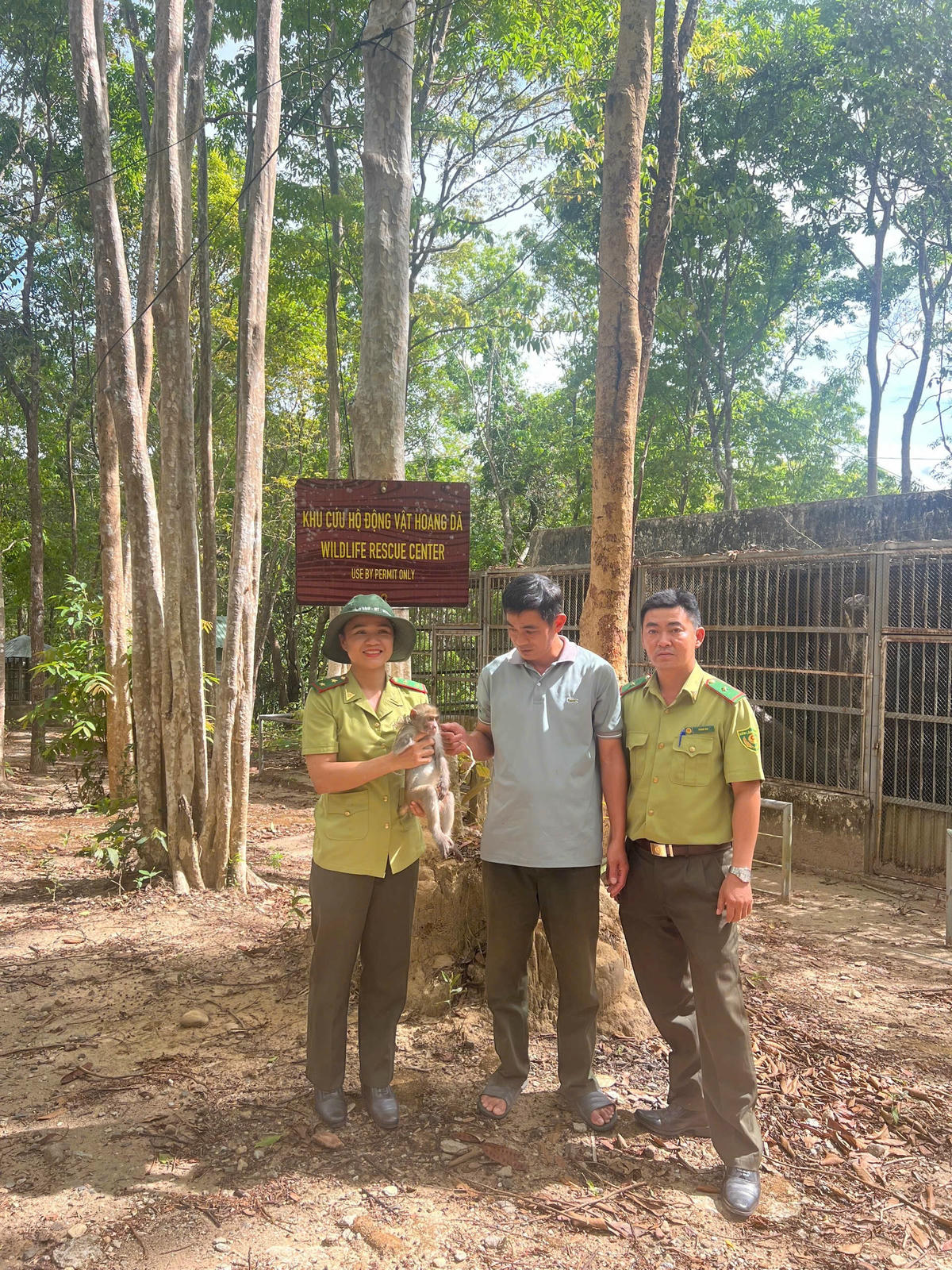 Người dân tự nguyện giao nộp cá thể khỉ đuôi dài