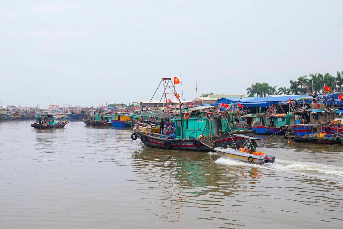 Lực lượng Biên phòng Hải Phòng ngư dân lên bờ tránh trú bão.