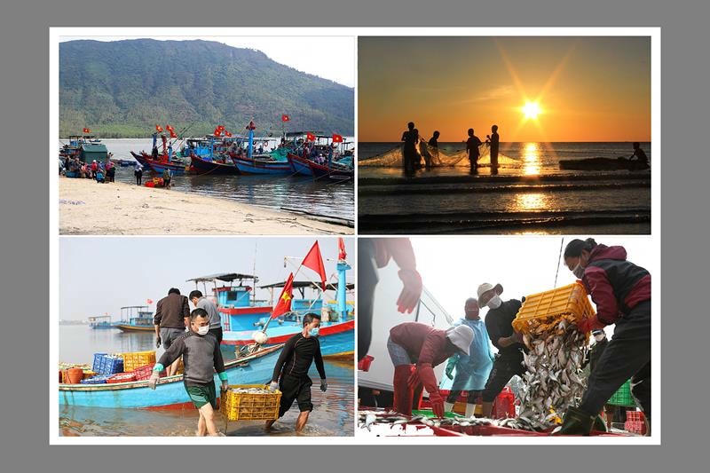 Nhiều chỉ tiêu kinh tế - xã hội của thị xã Kỳ Anh đạt và vượt kế hoạch đề ra.