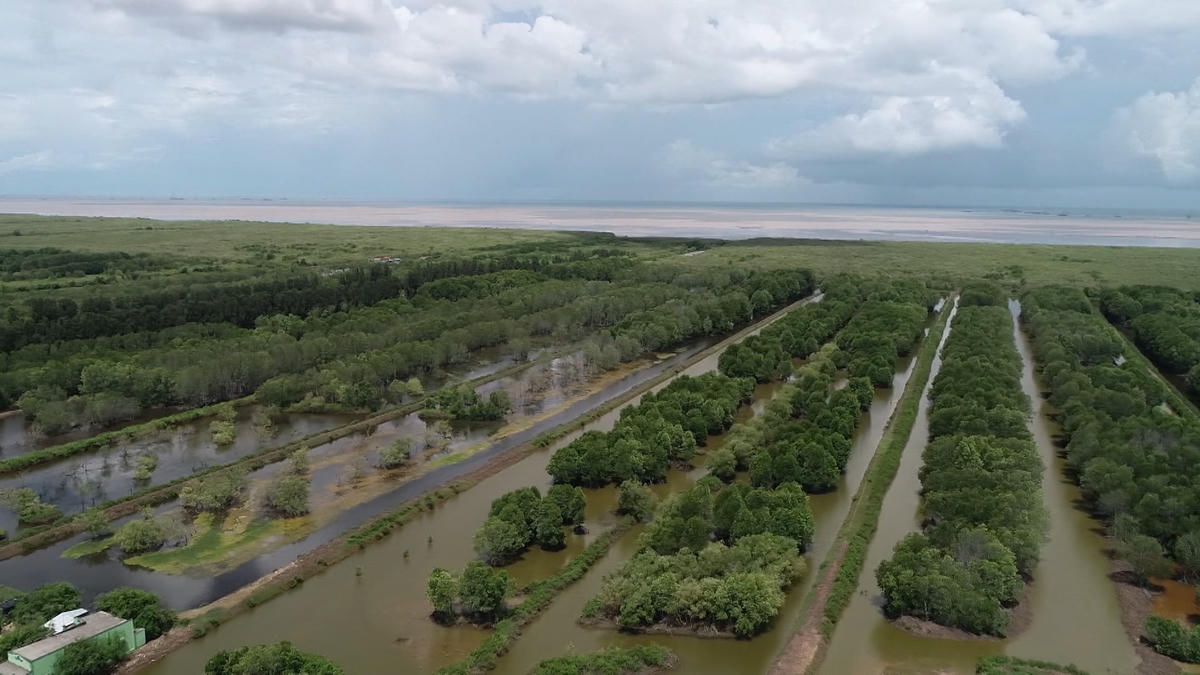 BAY BOI VA DAT RUNG PHONG HO - FLYCAM.mxf.00_00_15_01.Still002