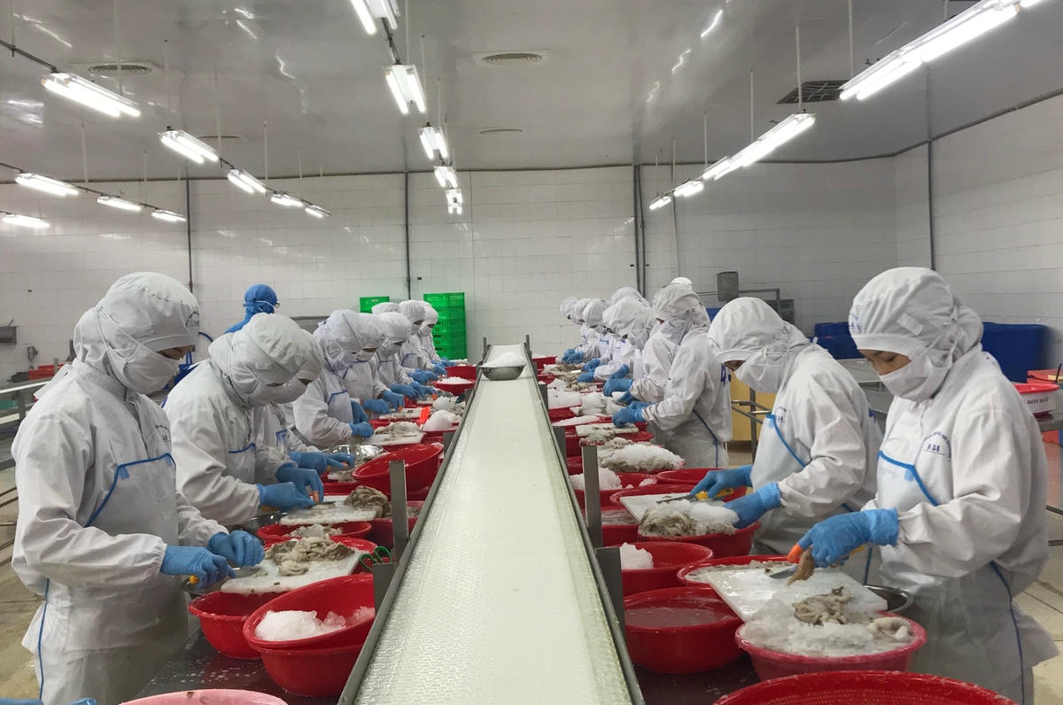 1.Hiện các DN đang gặp nhiều khó khăn về khâu chuyển hàng cũng như thanh toán với các đối tác Nga