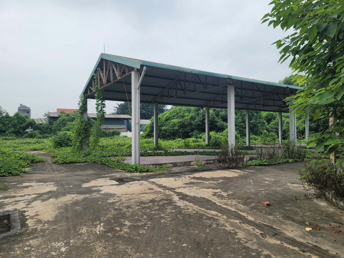 Cổng chợ che kín bởi vật liệu xây dựng, bên trong chợ cỏ dại um tùm.