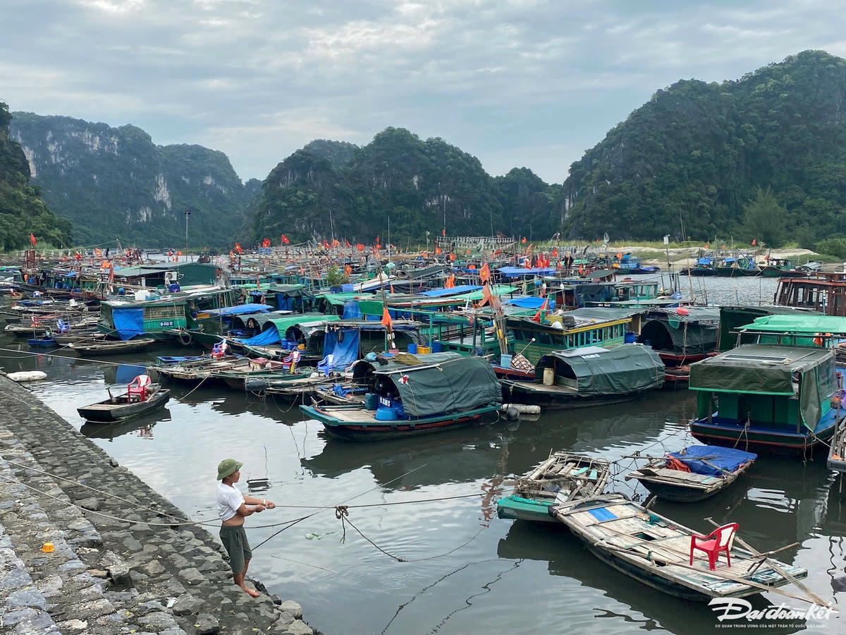 Sáng 6/9, nhiều tàu thuyền đã di chuyển về neo đậu tại bến Cái Xà Cong (TP Hạ Long, Quảng Ninh)...