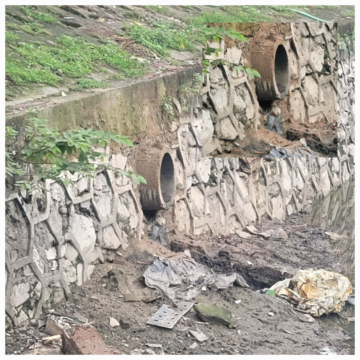 Một ống cống đấu ra lòng hồ nước thải đang rò rỉ. 