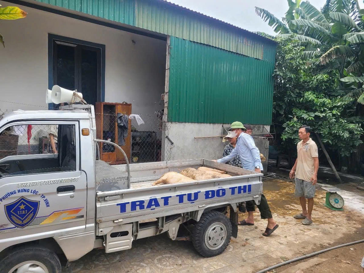 ảnh bên phải 67