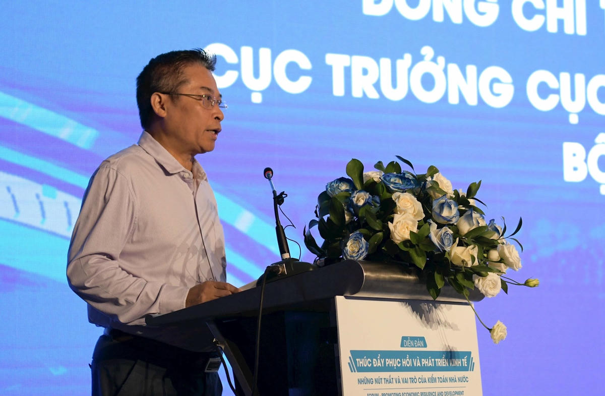 Cục trưởng Cục Quy hoạch và Phát triển tài nguyên đất, Bộ Tài nguyên và Môi trường Đào Trung Chính chia sẻ tại Hội thảo. Ảnh: LÊ HOÀ