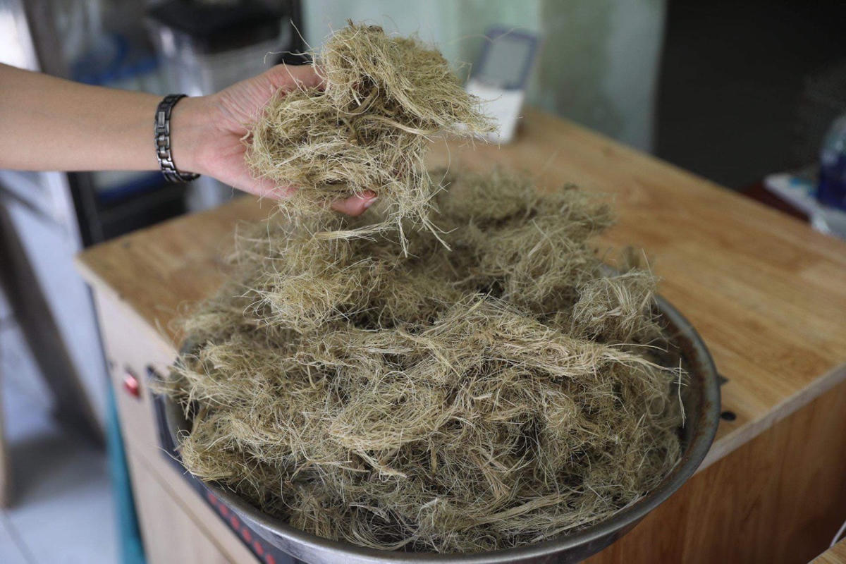 Phân voi được rửa sạch, làm khô.  