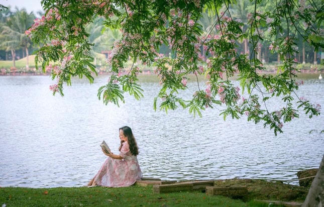 Ngồi nơi cửa nhà, nghĩ về hạnh phúc ảnh 5