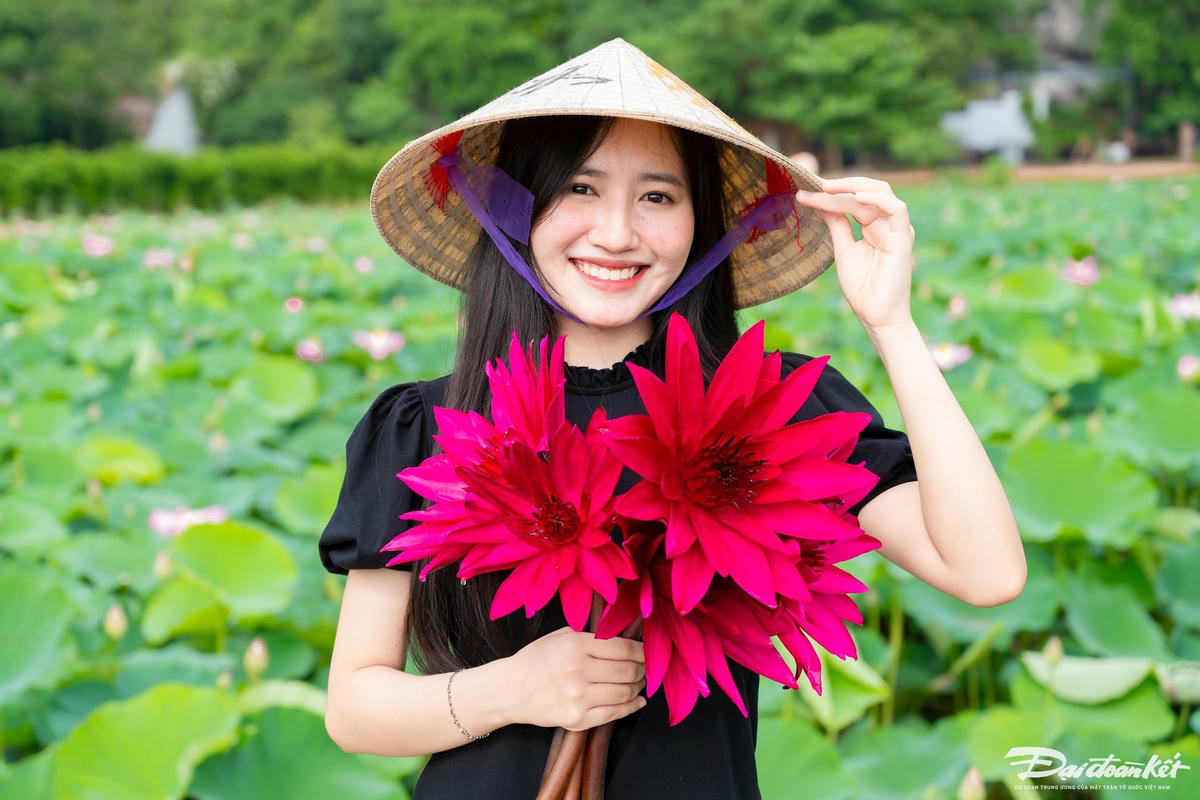 Sen ở Hang Múa thường bắt đầu nở từ cuối tháng 5, đẹp nhất vào khoảng từ đầu đến giữa tháng 6. Hồ sen có diện tích khoảng 1ha, nằm ngay khu vực trung tâm khu du lịch, được trồng chăm sóc hàng năm để phục vụ du khách. Ảnh: Đình Minh