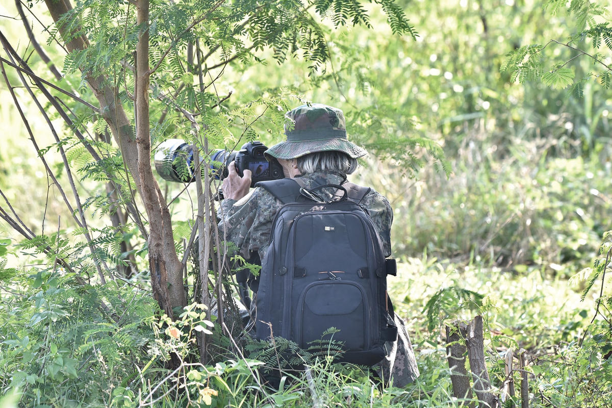 Ngồi "săn" ảnh chim di trú.  