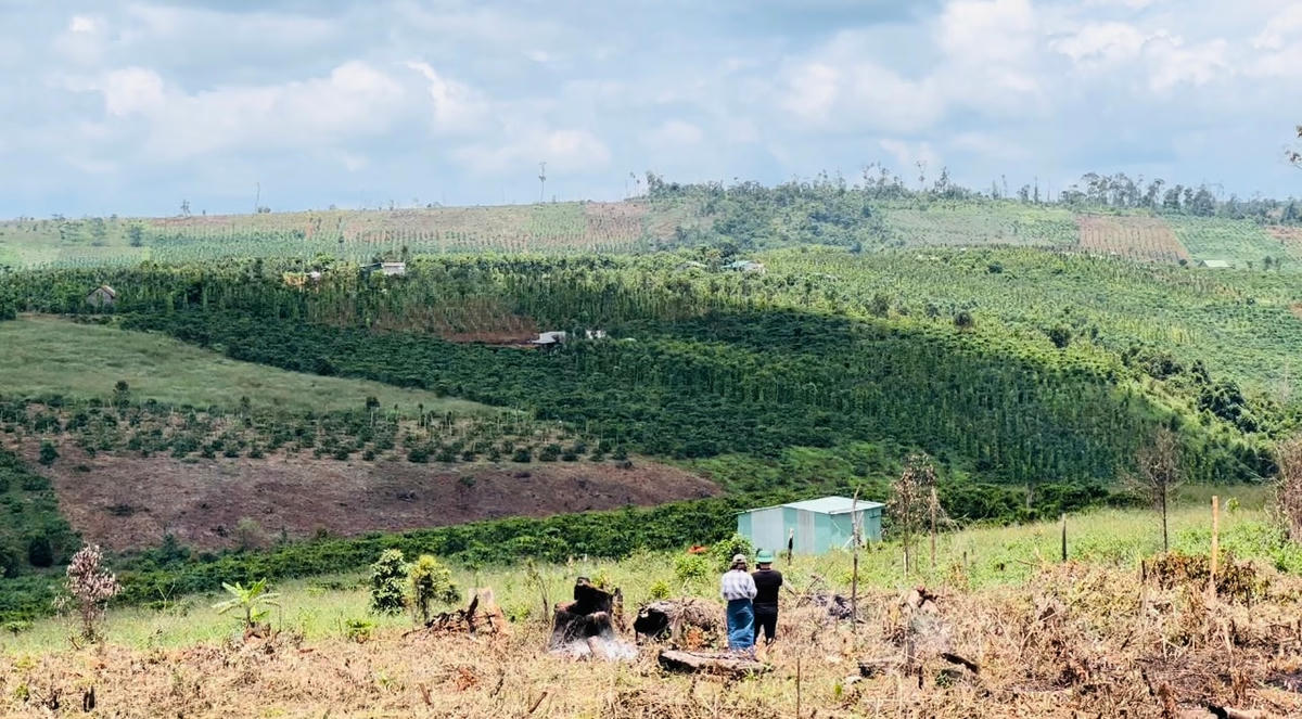 Một trong những điểm nóng về phá rừng ở huyện Đắk Glong.
