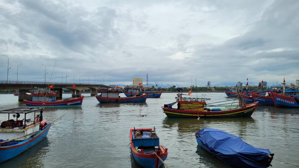 Toàn tỉnh Quảng Bình đang có 2.787 lao động/413 phương tiện đang tìm nơi tránh trú.