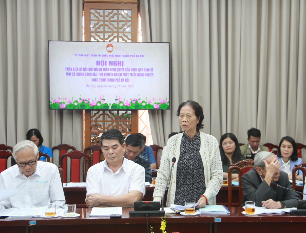 Các đại biểu góp ý phản biện tại hội nghị.