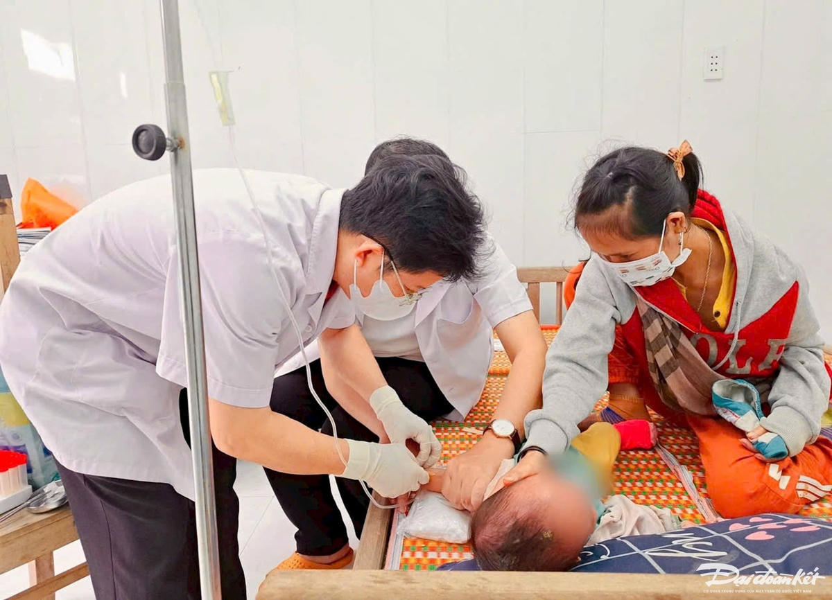 Ảnh: Tấn Thành.