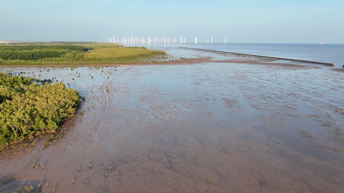 BAY BOI VA DAT RUNG PHONG HO - FLYCAM.00_03_29_03.Still001