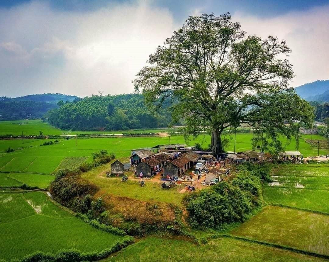 Hồn cốt chợ quê được Sơn Dương gìn giữ, coi đây là bản sắc văn hóa, là tài sản của đồng bào, gắn với phát triển KT - XH - Du lịch, nhằm góp phần nâng cao đời sống cho người dân.