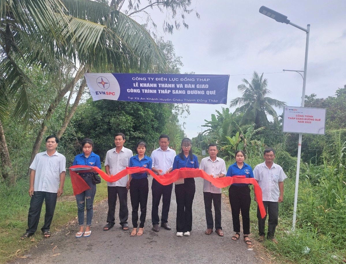 Triển khai xây dựng các công trình điện thắp sáng tuyến đường nông thôn tại các địa phương phía Nam.