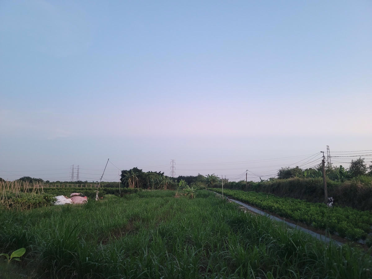 Khu vực phát hiện thi thể cháu bé.