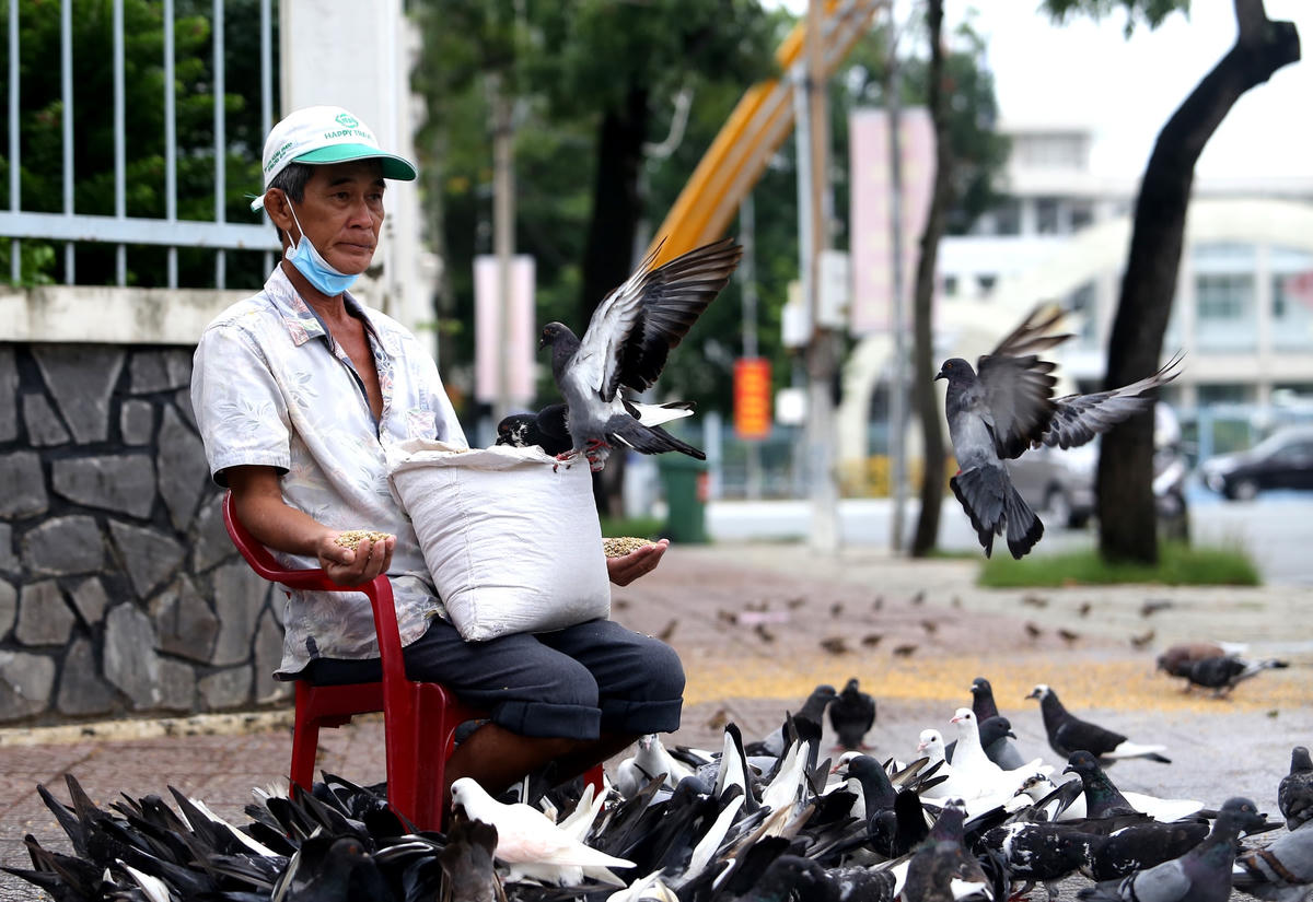 ‘Ông bụt’ của đàn chim trời