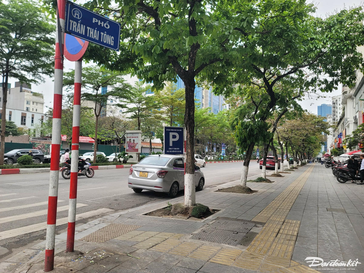 Vào các tháng cuối năm 2023, phố