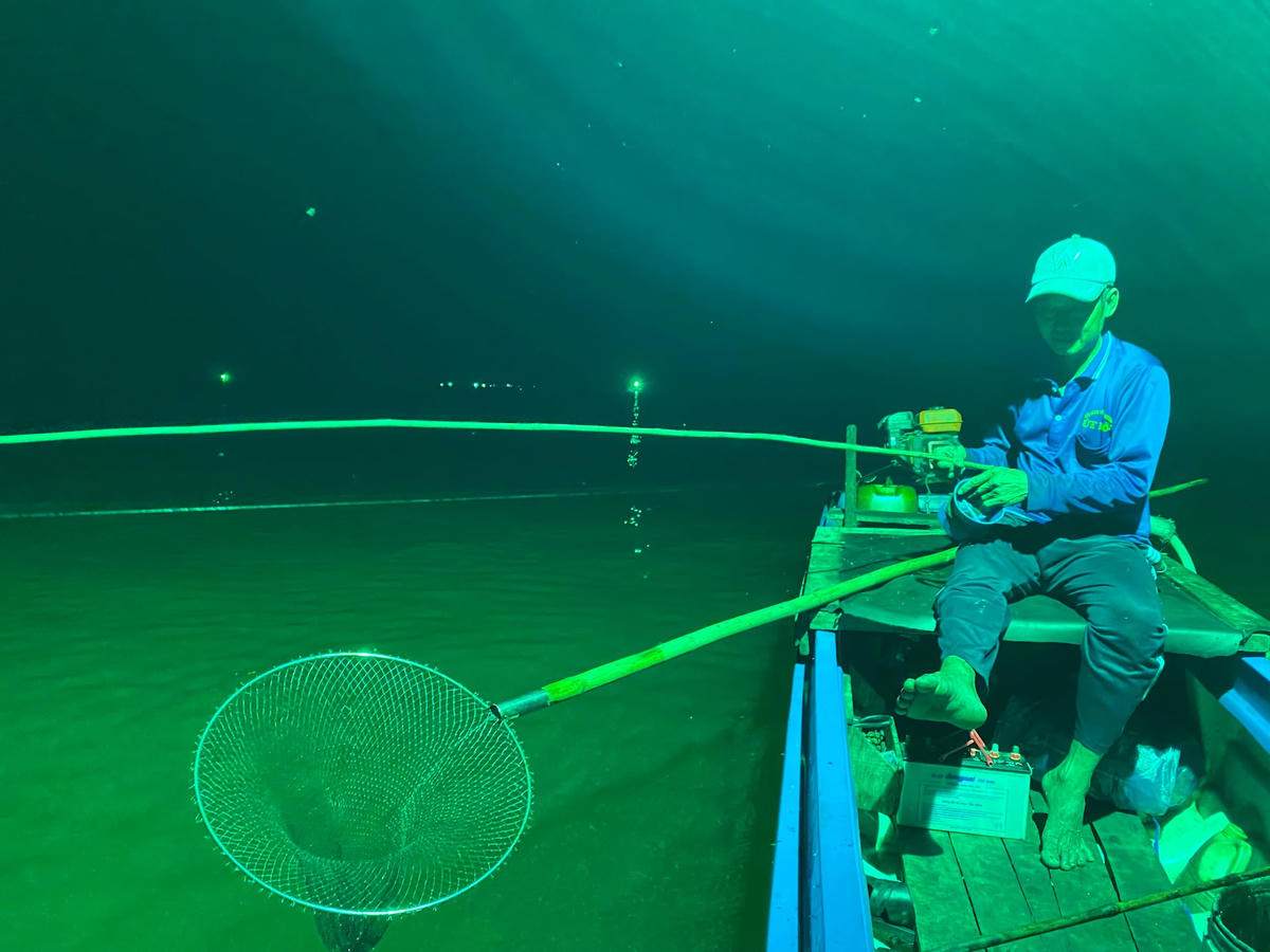 Ảnh 3-Săn cá xương xanh trên biển Tây Nam