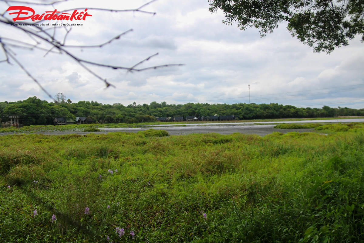 Cây cối ở đây đều mọc tự nhiên và luôn tươi tốt.