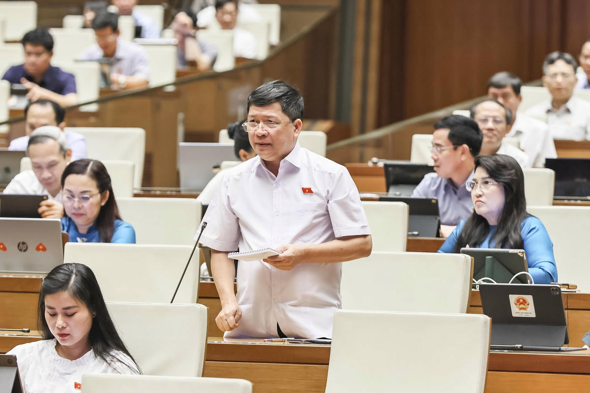 Tạ Văn Hạ, Quảng Nam