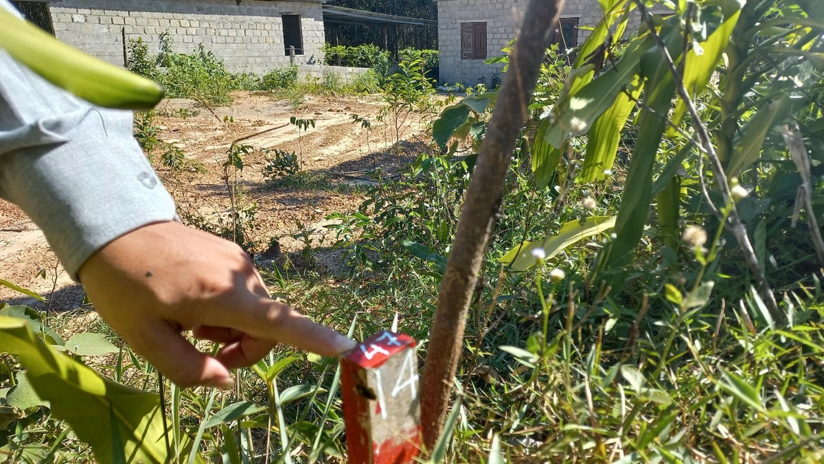 Đến ngày 20/11, tỉnh Quảng Trị sẽ bàn giao 70% mặt bằng để triển khai dự án cao tốc Vạn Ninh - Cam Lộ.