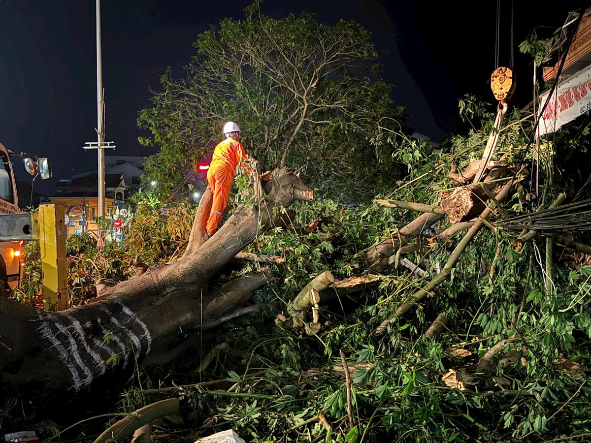 Đội Quản lý điện lực khu vực Vinh và Đội xung kích xử lý một cây lớn ra khỏi đường dây để khắc phục lưới điện. Ảnh ĐB
