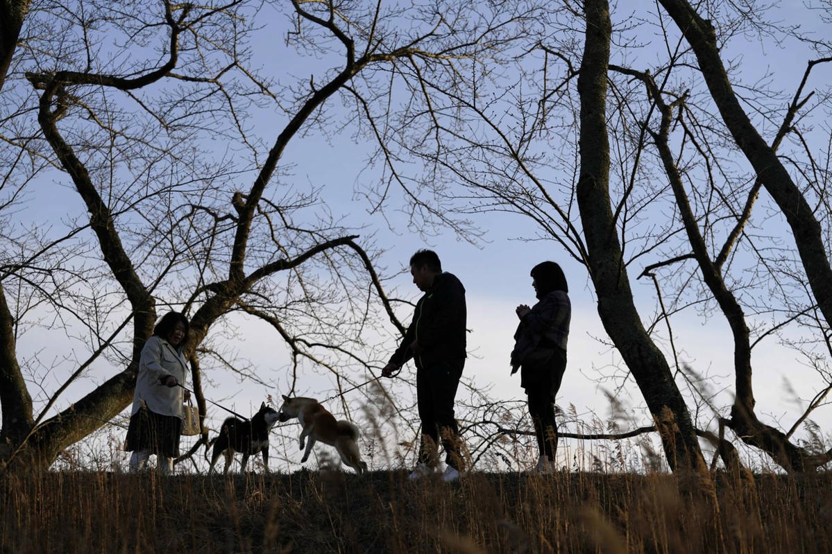 Chỉ có rất ít cư dân quay trở lại những khu vực trước kia nhiễm phóng xạ. Ảnh: CNN.