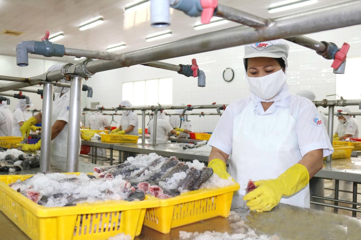 Thời gian qua xuất khẩu của Việt Nam tăng trưởng tốt.