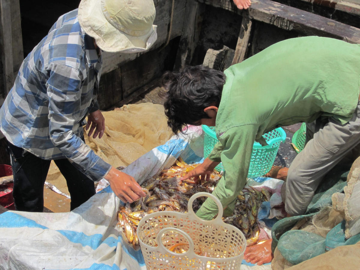 Ngư dân ở biển Tiền Giang bán cá phèn.  