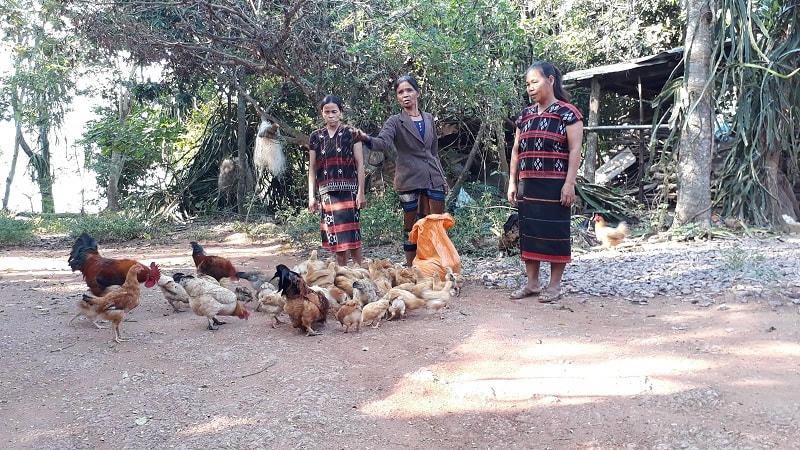 Nhờ nguồn vốn chính sách đồng bào DTTS có cơ hội đầu tư phát triển kinh tế ổn định cuộc sống. Ảnh: baoquangtri.vn