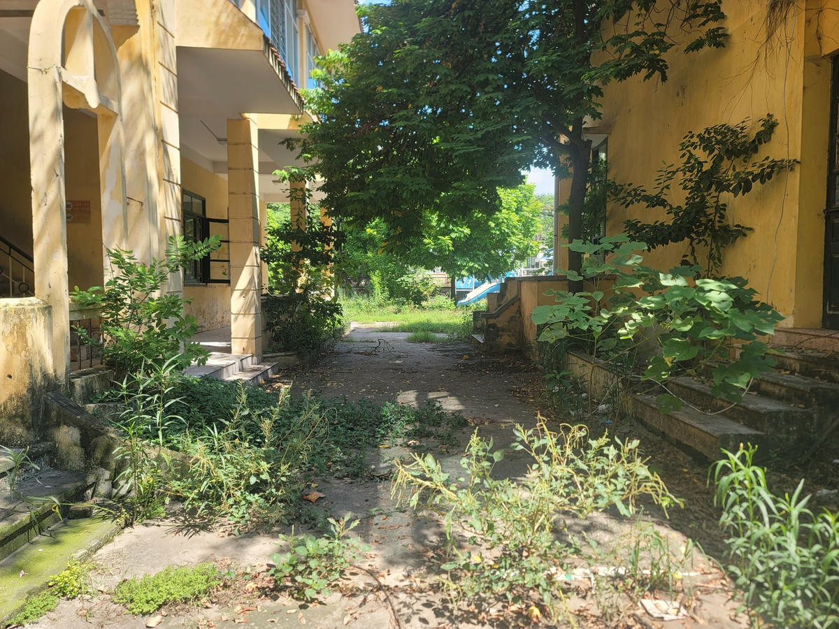 Sân trường cỏ dại mọc um tùm.