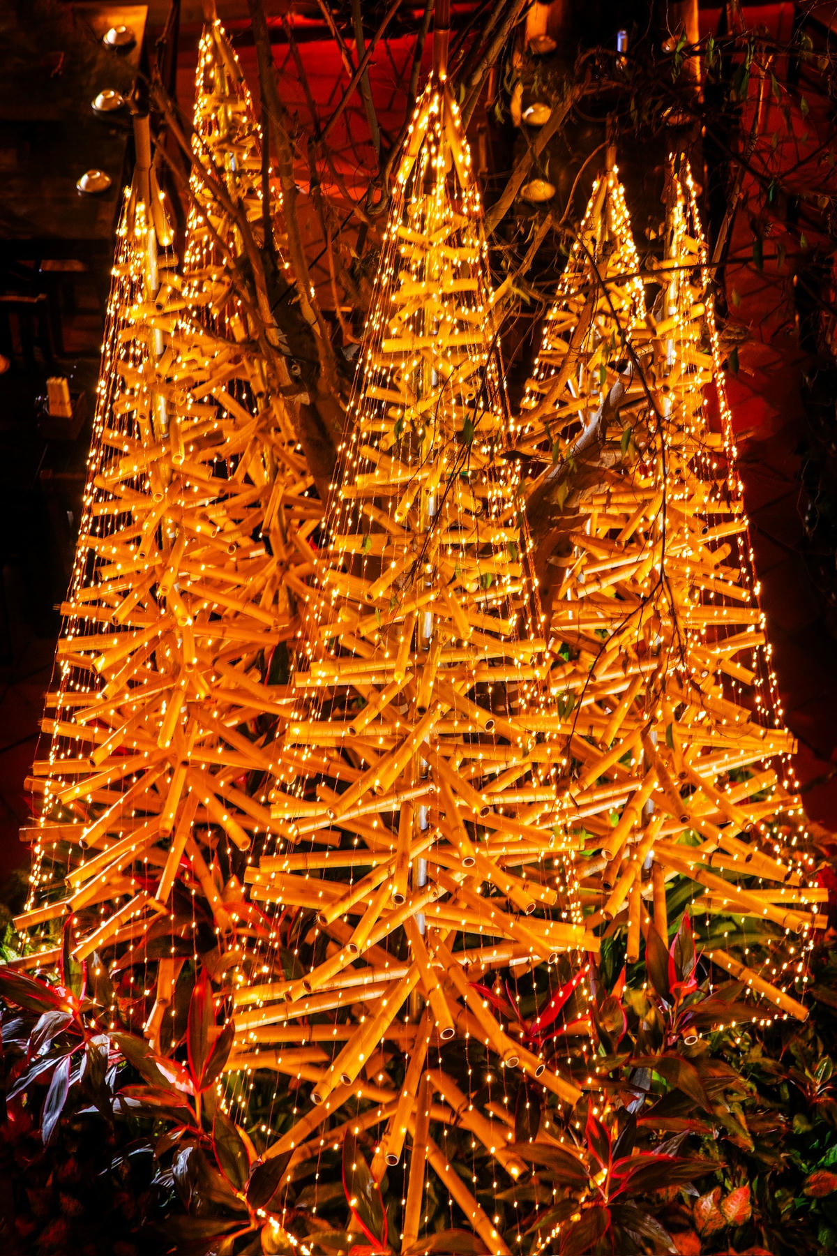 Cây thông làm bằng tre trở nên lung linh hơn khi được thắp sáng bằng những ánh đèn rực rỡ. Ảnh: BTC