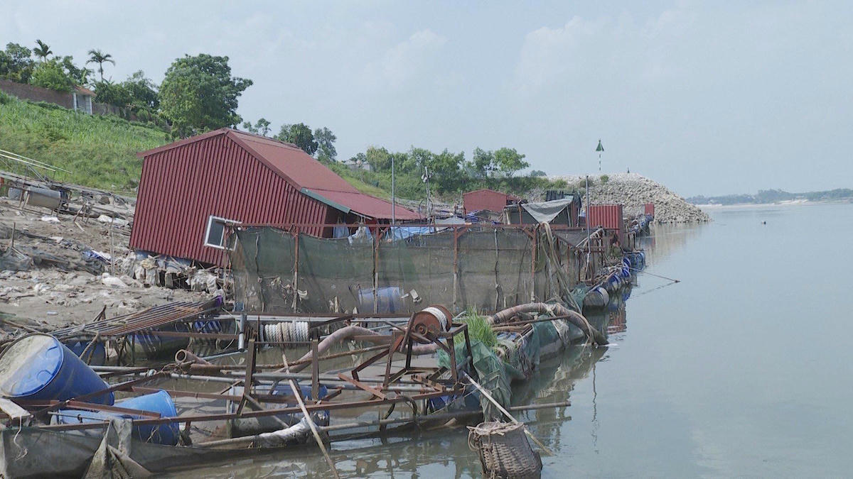 Cũng theo ông Dũng, chưa bao giờ người nuôi cá lồng lại bị ảnh hưởng như 1 vài năm nay.