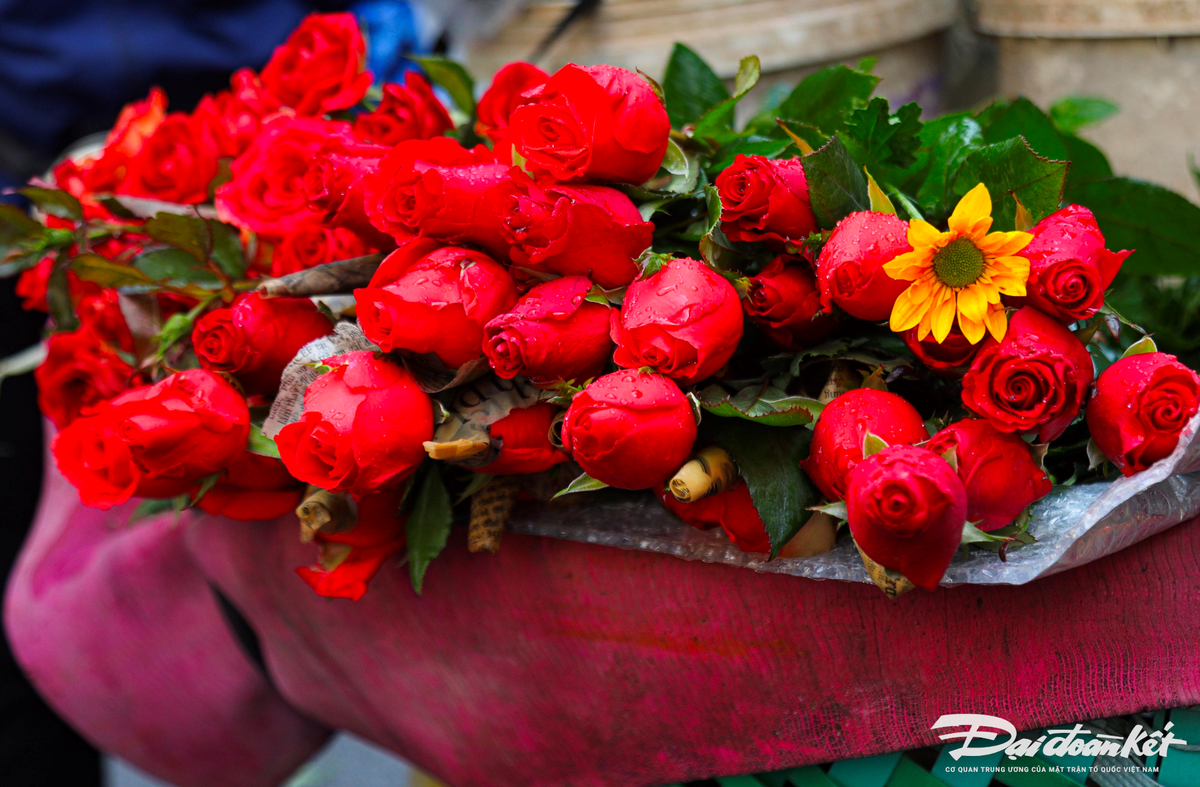 Ảnh màn hình 2025-01-21 lúc 09.27.24